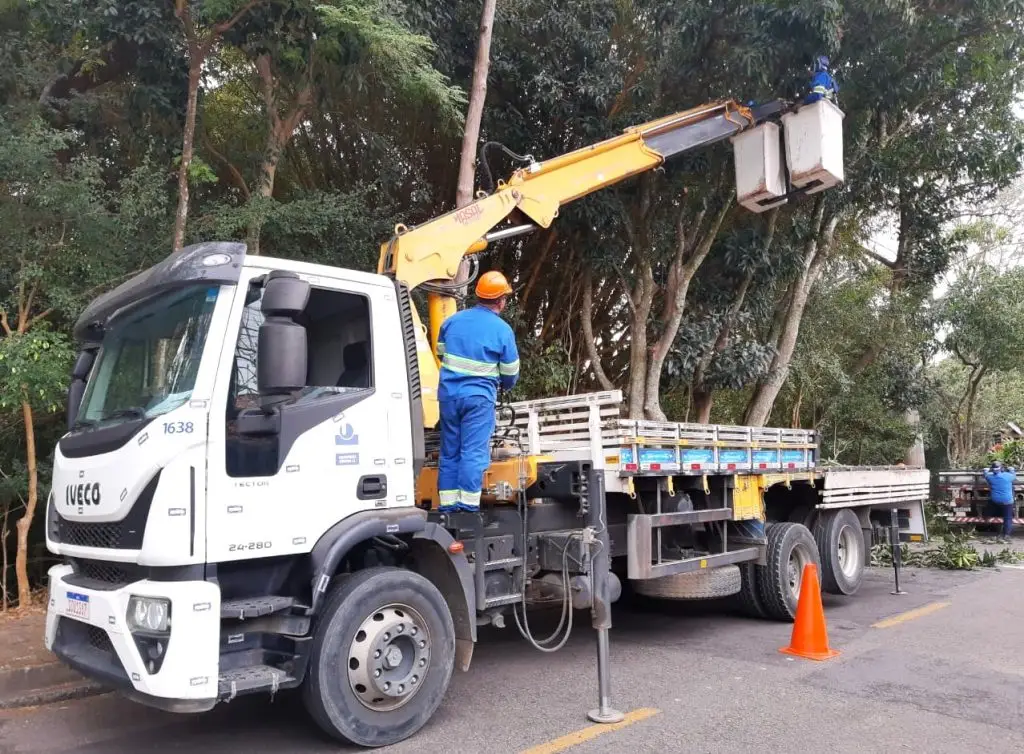 Força-tarefa de poda chega ao bairro Monte Castelo na segunda!