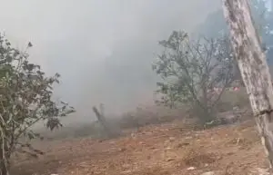 Incêndio área de 30 mil m² de vegetação na zona leste
