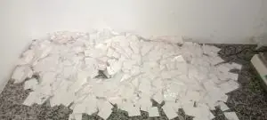 Grande quantidade de cocaína é apreendida em residência de Caraguatatuba