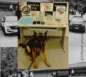Operação policial em Roseira resulta na prisão de 2 criminosos e na apreensão de um menor