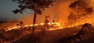 Incêndio no Parque Itaim atinge 80 mil m² em Taubaté