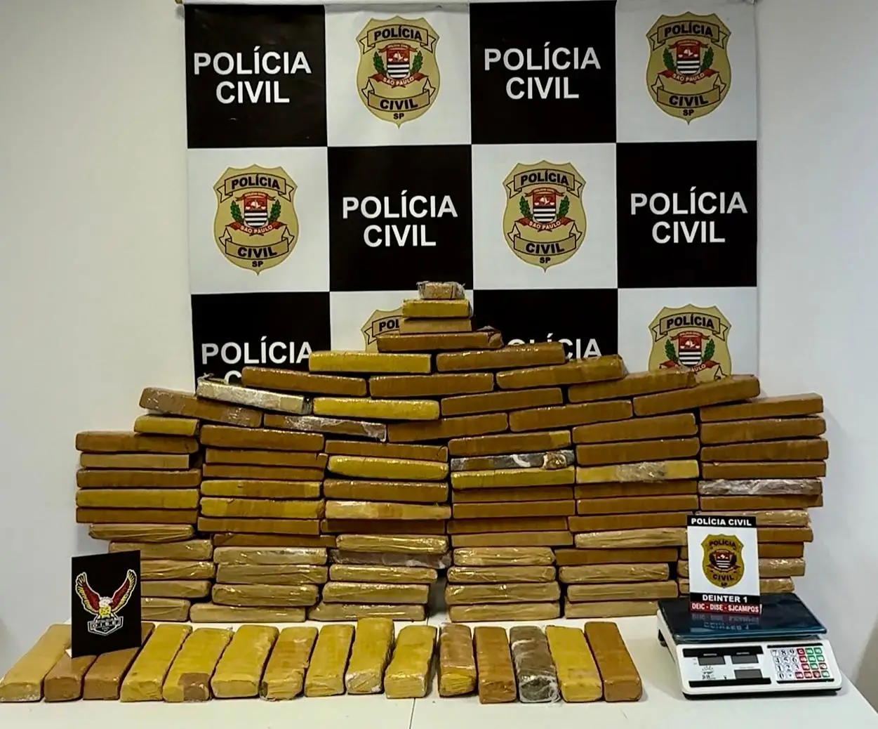  Polícia Civil apreende mais de 81 kg de maconha em operação contra tráfico de drogas em São José 