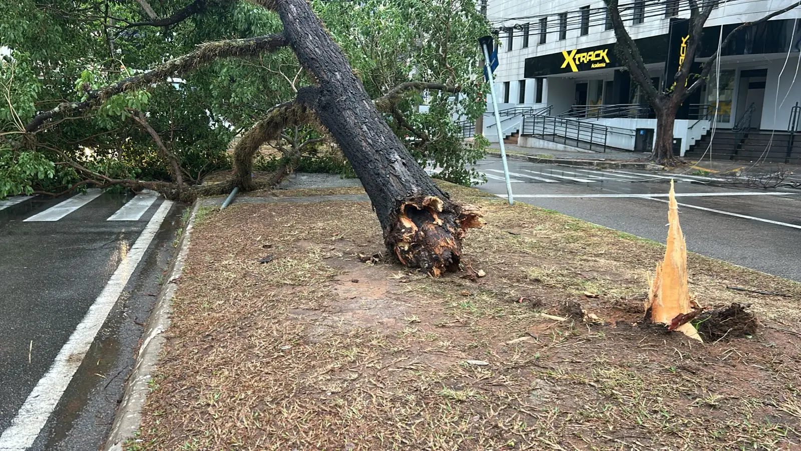Chuvas fortes em São José dos Campos deixam bairros sem energia elétrica 