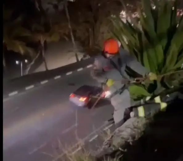 Resgate emocionante de gatinho mobiliza voluntários e bombeiros em Ilhabela
