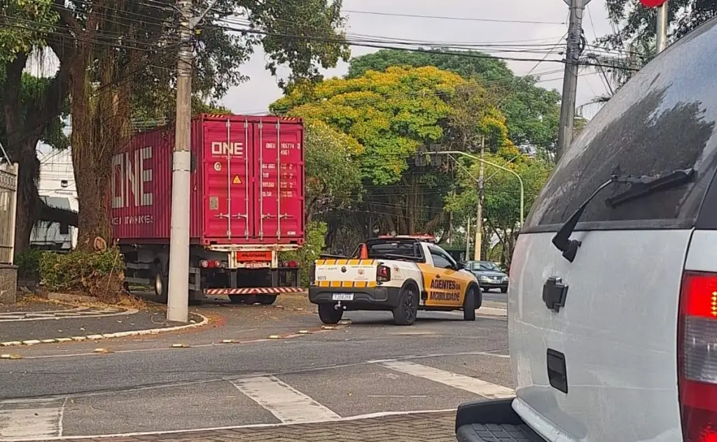 Galho de árvore cai e bloqueia acesso à avenida São João no centro de São José