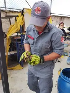 Saruês são resgatados em escola de Caraguatatuba