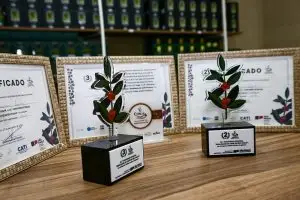 Premiação dos melhores cafés do Estado de SP reunirá cafeicultores de 77 cidades!