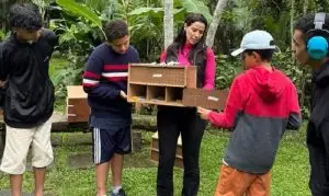 120 aves silvestres reabilitadas voltam a voar livres pelo céu de Caraguatatuba