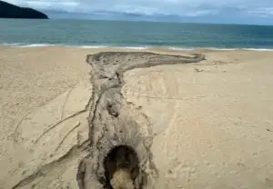 Condomínio é autuado por lançamento irregular de esgoto em praia de São Sebastião