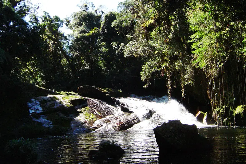 Parque Estadual da Serra do Mar – Núcleo Santa Virgínia (São Luiz do Paraitinga)