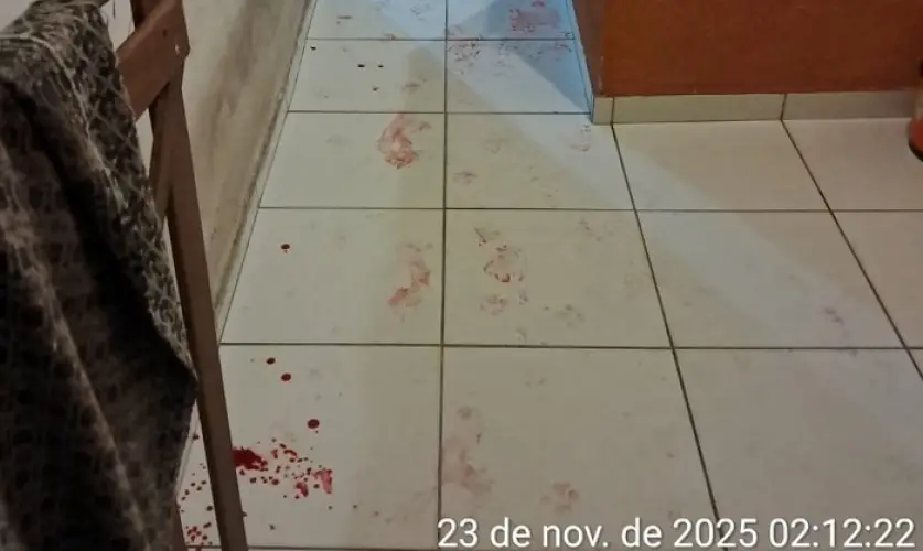 Mulher é presa por tentativa de homicídio após esfaquear companheiro!