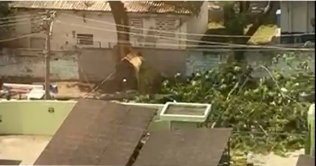 Galho cede após rajadas de vento e interdita rua movimentada no Parque Industrial