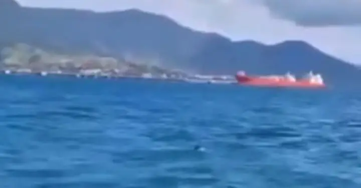 Cão mergulha no mar durante travessia da balsa e é salvo por tripulação!