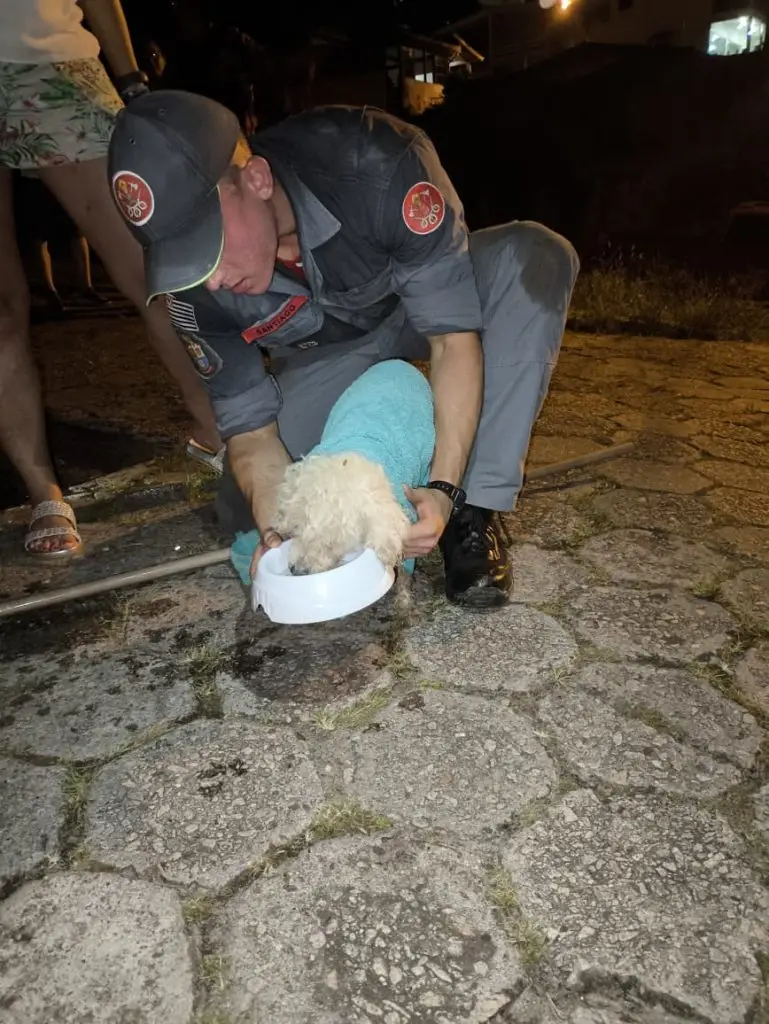 Bombeiros realizam resgate de cachorra idosa presa em tubulação de águas pluviais no bairro São Francisco, em São Sebastião.