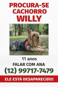 Cachorro é furtado no Jardim Aquarius durante passeio em praça central