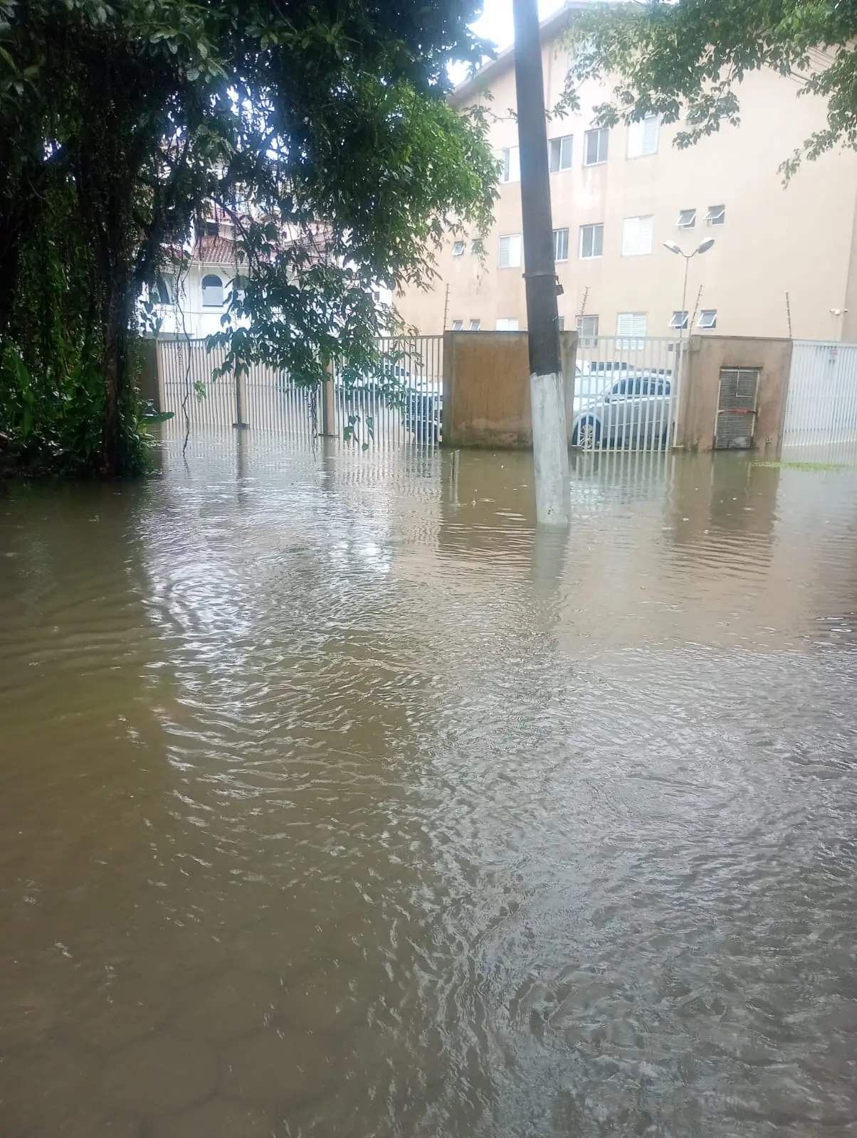 Chuvas em Ubatuba provocam alagamentos, vistorias da Defesa Civil e adiamento de evento; situação segue em monitoramento.