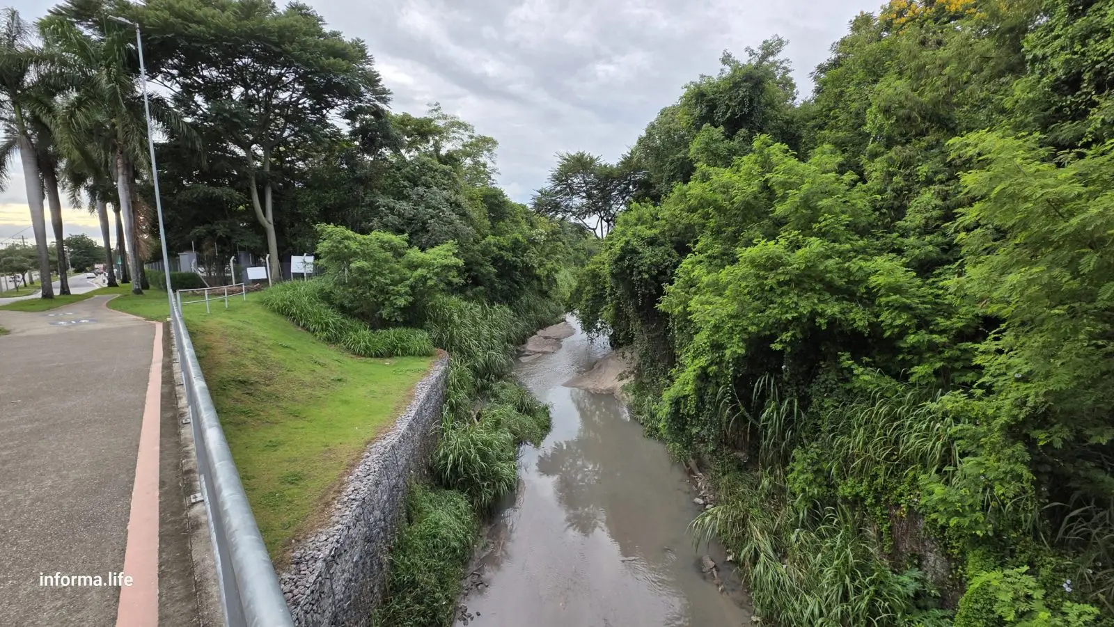 Proteção da APP busca garantir a regeneração da mata e impedir o avanço de espécies invasoras no Jardim Aquarius