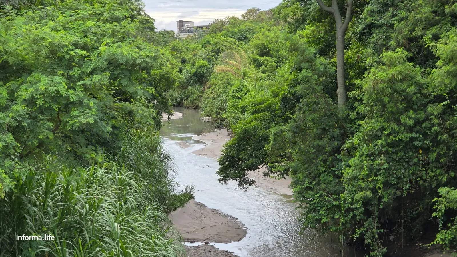 Lágrimas do Senhorinha, um córrego que chora pela revitalização!