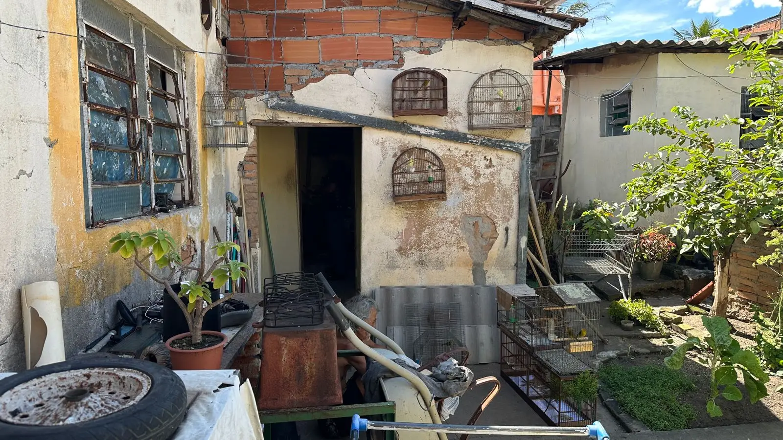 Ocorrência Ambiental