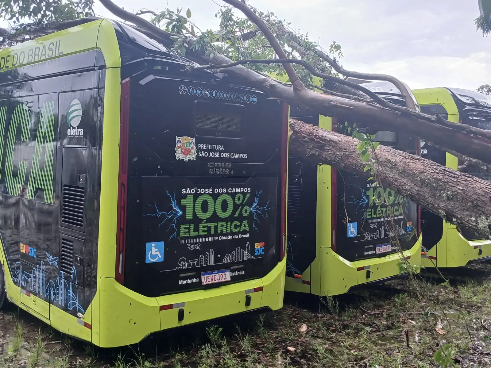 Chuva provoca alagamentos e derruba árvores em São José dos Campos