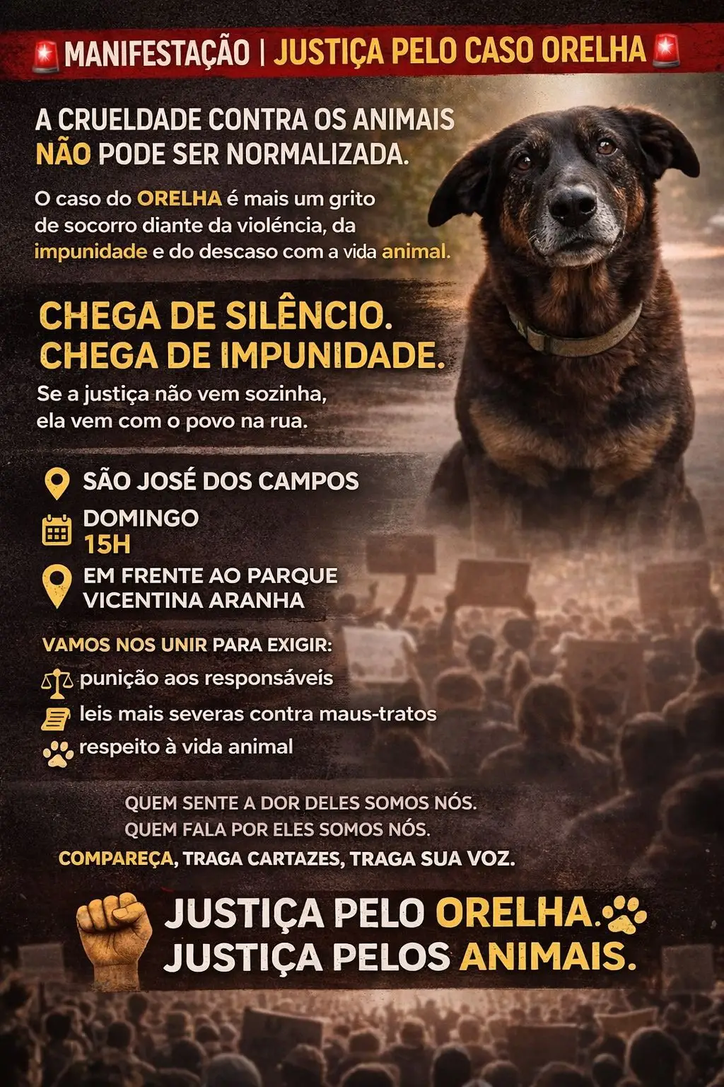 Manifestação Orelha