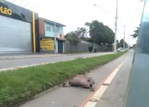Capivara é atropelada e morre na avenida Shishima Hifumi, no Urbanova