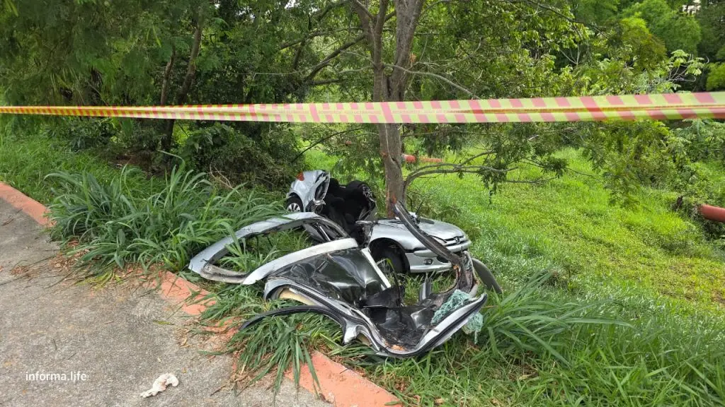 Motorista morre após atravessar pista e bater carro contra árvore na avenida Salinas