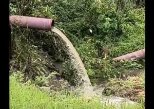 Rede de esgoto no Córrego Senhorinha atinge água do curso d’água na zona sul de São José. Sabesp realiza manutenção emergencial. A rede de esgoto no Córrego Senhorinha atingiu a água do próprio curso d’água na região sul de São José dos Campos após o rompimento de uma tubulação nas proximidades da Avenida Salinas. O problema foi registrado nesta semana e gerou preocupação entre moradores quanto à qualidade ambiental do córrego. Segundo relatos de moradores, o esgoto passou a escoar diretamente para o leito do Córrego Senhorinha. A Companhia Ambiental do Estado de São Paulo (Cetesb) esteve no local para avaliação técnica e deve analisar as condições da água. O Córrego Senhorinha é um curso d’água urbano que corta bairros da região sul e integra a rede de drenagem do município, sendo responsável pelo escoamento de águas pluviais. Em alguns trechos, o córrego é canalizado, mas ainda há áreas abertas, o que o torna mais vulnerável a impactos ambientais em casos de extravasamento. Manutenção emergencial Procurada pela reportagem, a Sabesp informou que realiza, nesta quarta-feira (11), manutenção emergencial em uma tubulação de esgoto localizada nas proximidades da Avenida Salinas. De acordo com a Companhia, as chuvas que atingem o município deixaram o solo encharcado, provocando o solapamento do terreno e comprometendo a sustentação da rede coletora no local. As equipes estão mobilizadas para executar os reparos no menor prazo possível, com o objetivo de garantir a segurança da infraestrutura e evitar novos impactos ao entorno. A Sabesp pediu desculpas pelos transtornos e informou que permanece à disposição pelos canais oficiais de atendimento 0800 055 0195 (ligação gratuita), WhatsApp (11) 3388-8000 e Agência Virtual no site www.sabesp.com.br . A reportagem seguirá acompanhando o caso e atualizará as informações assim que houver novo posicionamento da Cetesb sobre a qualidade da água do Córrego Senhorinha. Sugestão de imagem Foto do Córrego Senhorinha com ponto de extravasamento próximo à Avenida Salinas. Legenda Extravasamento de rede coletora atinge água do Córrego Senhorinha, na região sul de São José dos Campos. Frase-chave de foco rede de esgoto Córrego Senhorinha Título SEO Rede de esgoto Córrego Senhorinha rompe na zona sul Metadescrição (SEO) Rede de esgoto Córrego Senhorinha rompe após chuvas e atinge água do córrego na zona sul de São José. Tags Córrego Senhorinha, Sabesp São José, esgoto zona sul, Cetesb avaliação Títulos alternativos Rompimento de rede de esgoto atinge água do Córrego Senhorinha Vazamento compromete água do Córrego Senhorinha na zona sul Esgoto extravasa e atinge curso d’água na região sul de São José Cetesb avalia qualidade da água após rompimento no Senhorinha Sabesp faz reparo emergencial após vazamento no Córrego Senhorinha