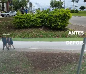 Aquarius Life: Vegetação impede visão de motoristas em cruzamento e aumenta risco de acidentes