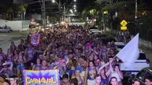 Foliões participam do Bloco do Toko durante desfile na Avenida Peixoto de Castro, em Lorena.