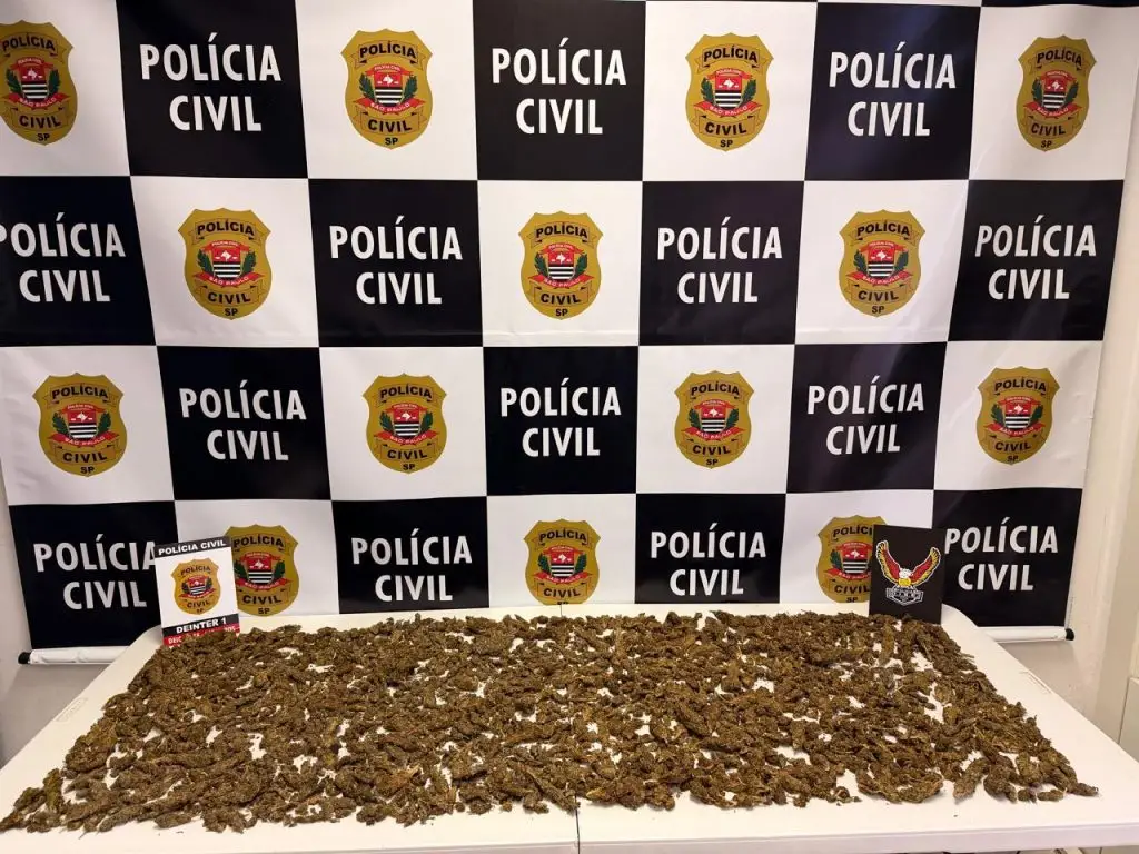 Polícia Civil apreendeu 1,9 kg de maconha durante ação contra tráfico na Vila Leonídia.
