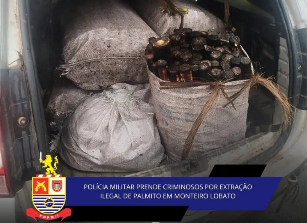 Cerca de 500 quilos de palmito foram encontrados em veículo abordado pela PM em Monteiro Lobato.