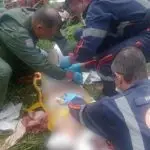 Morre idosa de 69 anos atacada por dois pitbulls em São José dos Campos