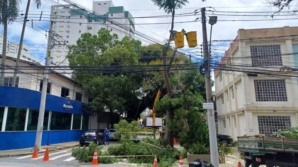Supressão de árvore de grande porte interdita trecho da Rua Santa Clara, na Vila Adyana
