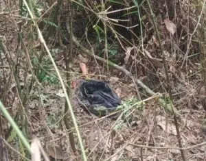 Corpo foi encontrado em área de mata no bairro Capituba, em Guaratinguetá/ Foto: Polícia Civil