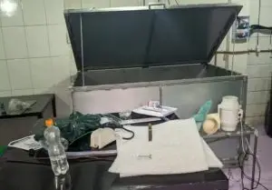 Pela segunda vez, polícia apreende cogumelos alucinógenos em Ubatuba