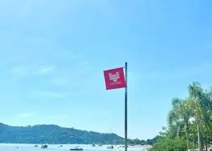 10 praias impróprias no Litoral Norte de SP/ Foto: Life Informa