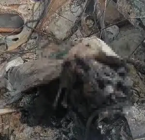 Corpo carbonizado é encontrado em carro em São José dos Campos