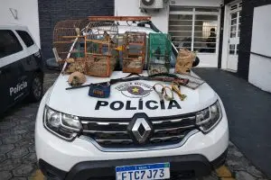 Aves silvestres foram resgatadas de cativeiro irregular em Guaratinguetá