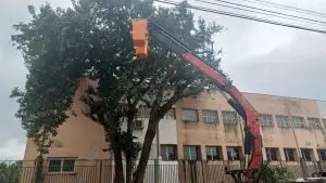 Rua Tufy Simão Filho interditada novamente para remoção de árvore