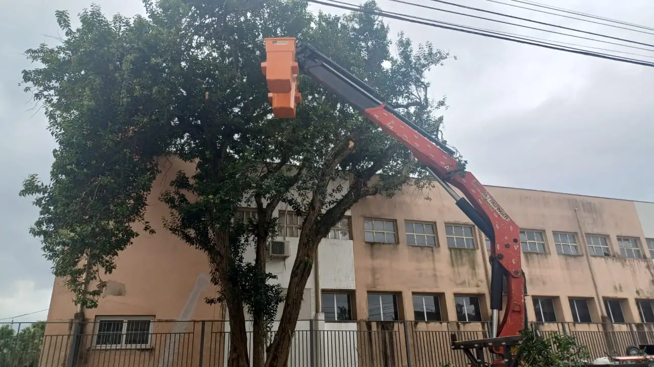 Rua Tufy Simão Filho interditada novamente para remoção de árvore