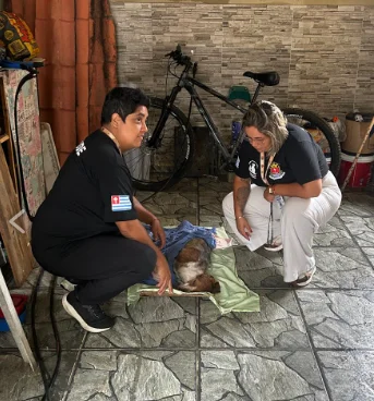 Cão vítima de maus-tratos é resgatado em Ubatuba após denúncia e levado para atendimento veterinário