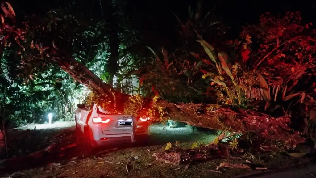 Queda de árvore atinge veículo em São Sebastião e mobiliza Bombeiros no bairro Baleia