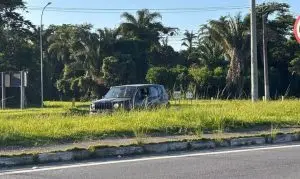Mato alto na Rio-Santos leva prefeitura de Caraguá a notificar DER