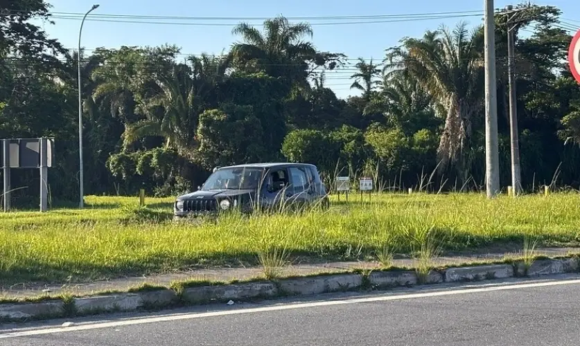 Mato alto na Rio-Santos leva prefeitura de Caraguá a notificar DER