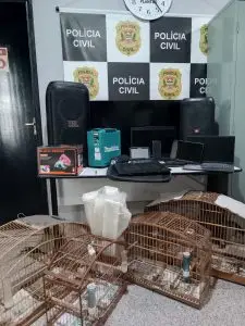 Operação da Polícia Civil encontra munição e trinca-ferros em imóvel de Jacareí
