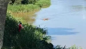 Homem é resgatado no Rio Paraíba do Sul com braços quebrados após agressão