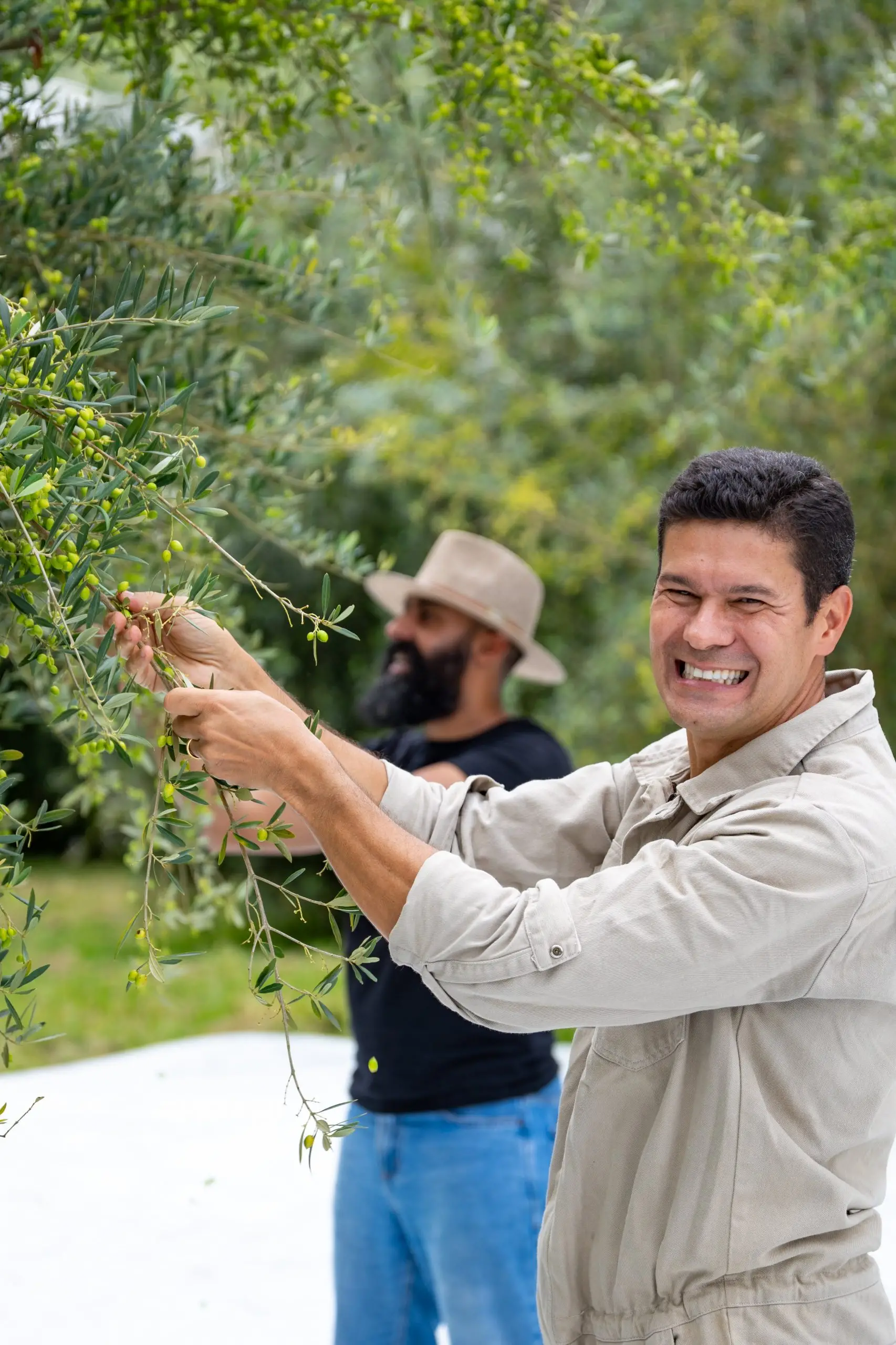 Azeite de Santo Antônio do Pinhal conquista ouro em concurso internacional na Espanha