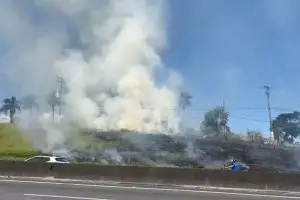 Fogo em vegetação é controlado às margens da Via Dutra, em Caçapava