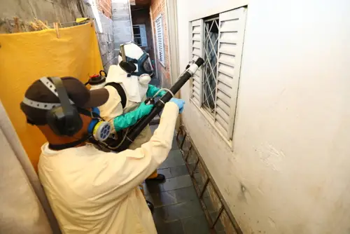 Nebulização contra mosquito da dengue ganha novo horário em São José